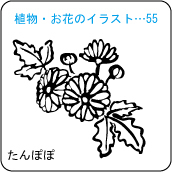 植物・お花のイラスト…